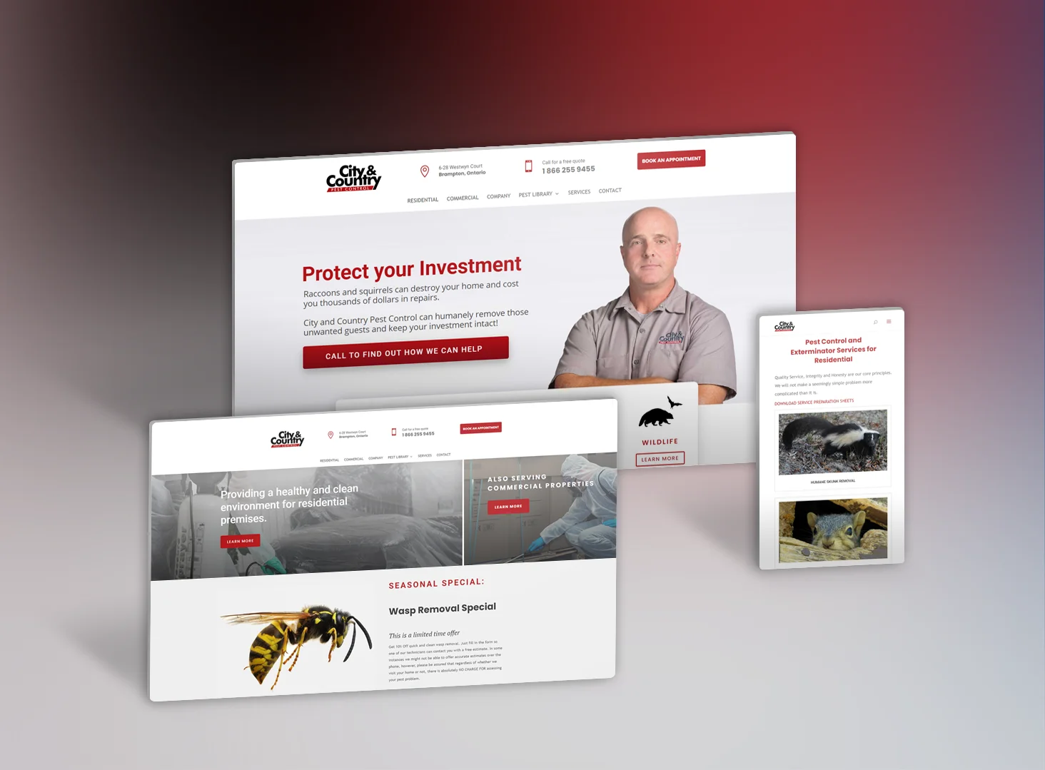 Website Design for City and Country Pest Control